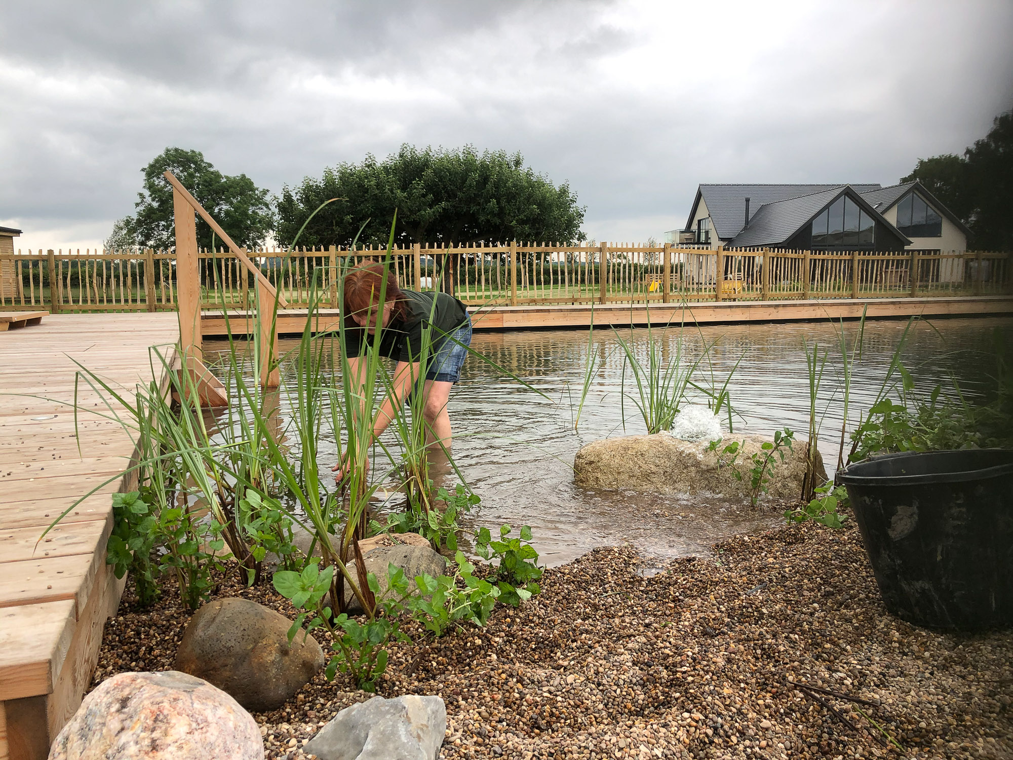 Planting pool area