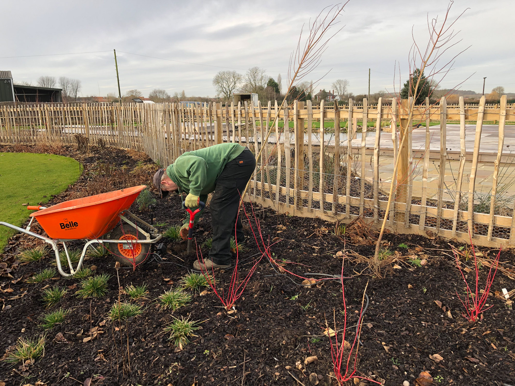 Planting trees
