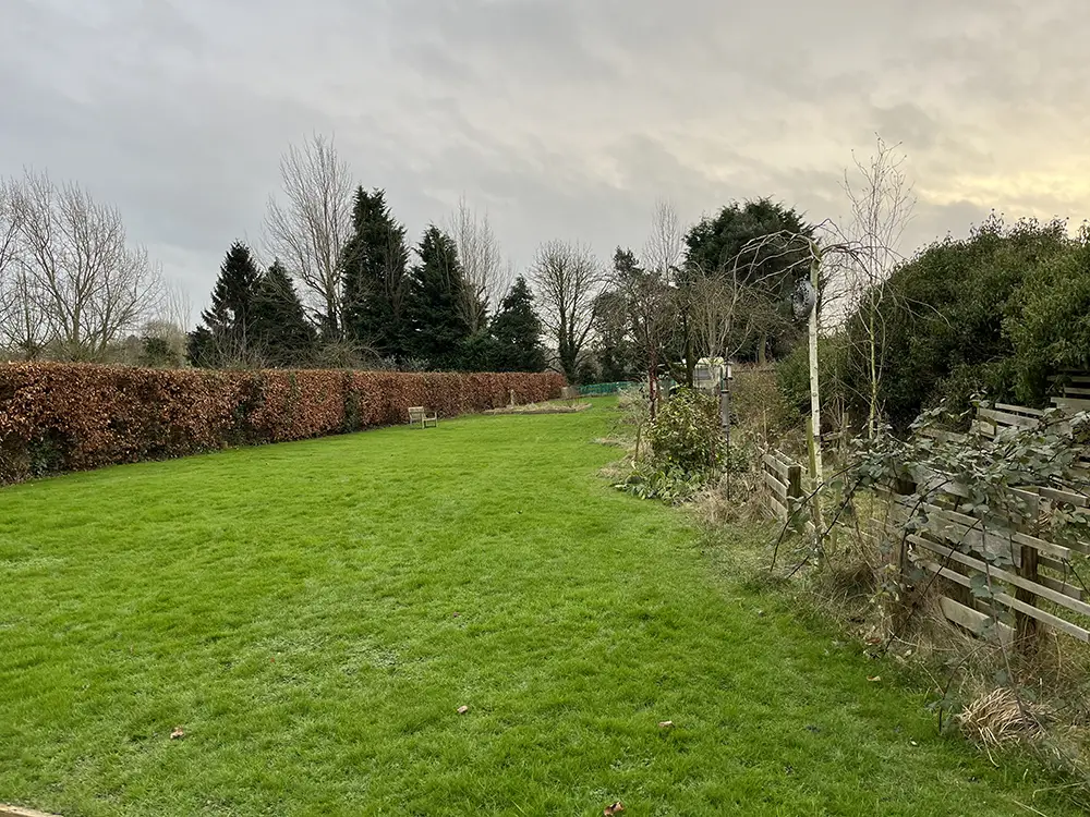 Garden before transformation