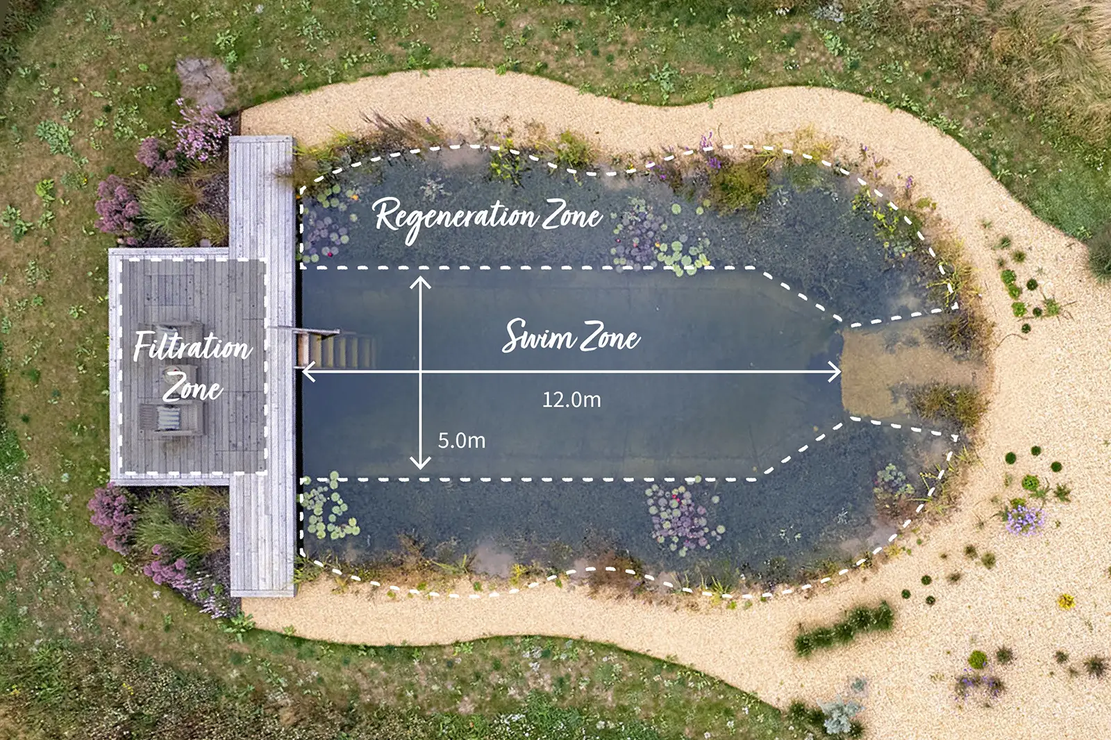 Swim, Filtration and Regeneration zones