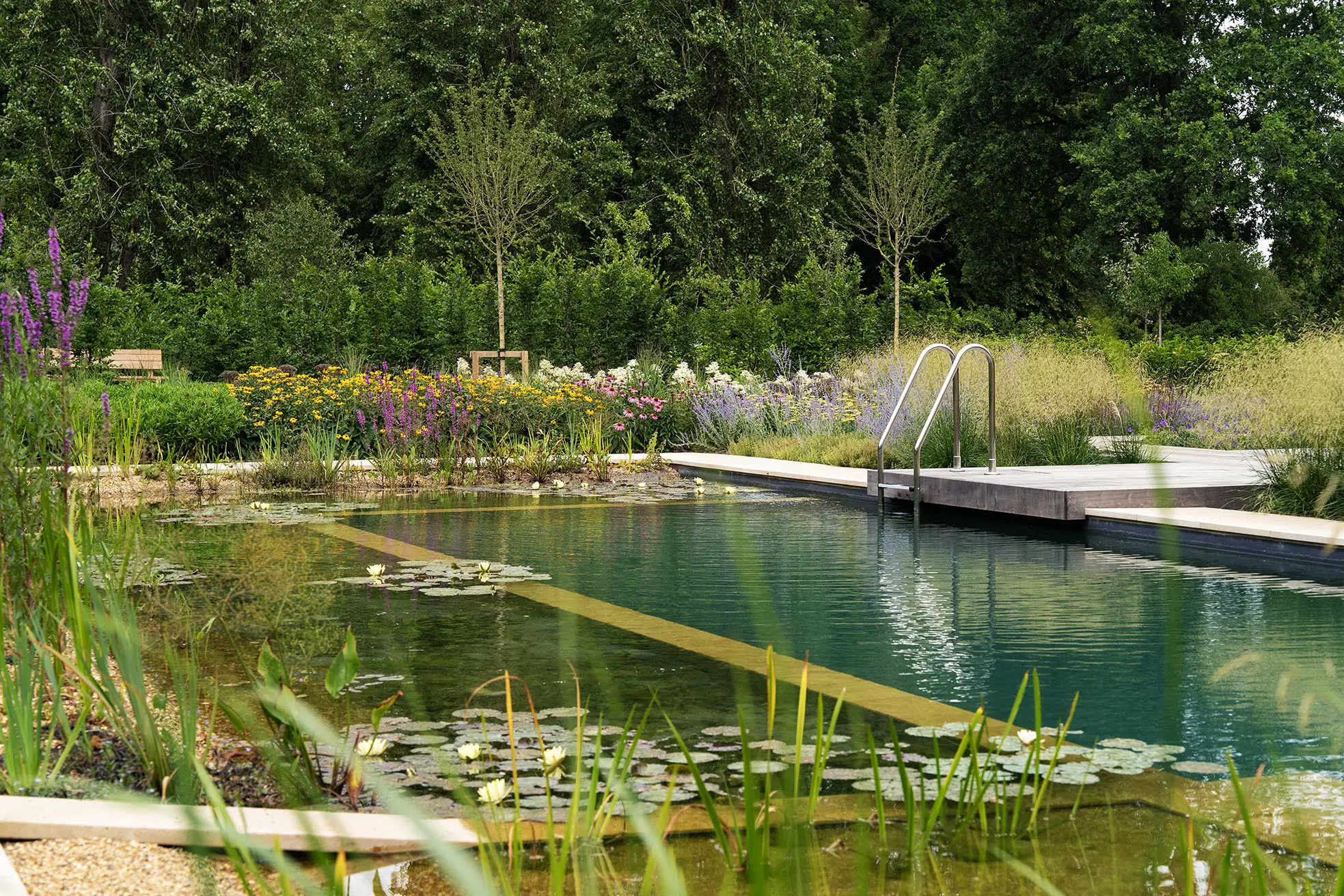 Hampshire Natural Swimming Pool
