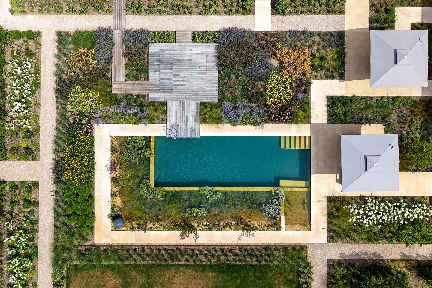 Hampshire Natural Swimming Pool overview