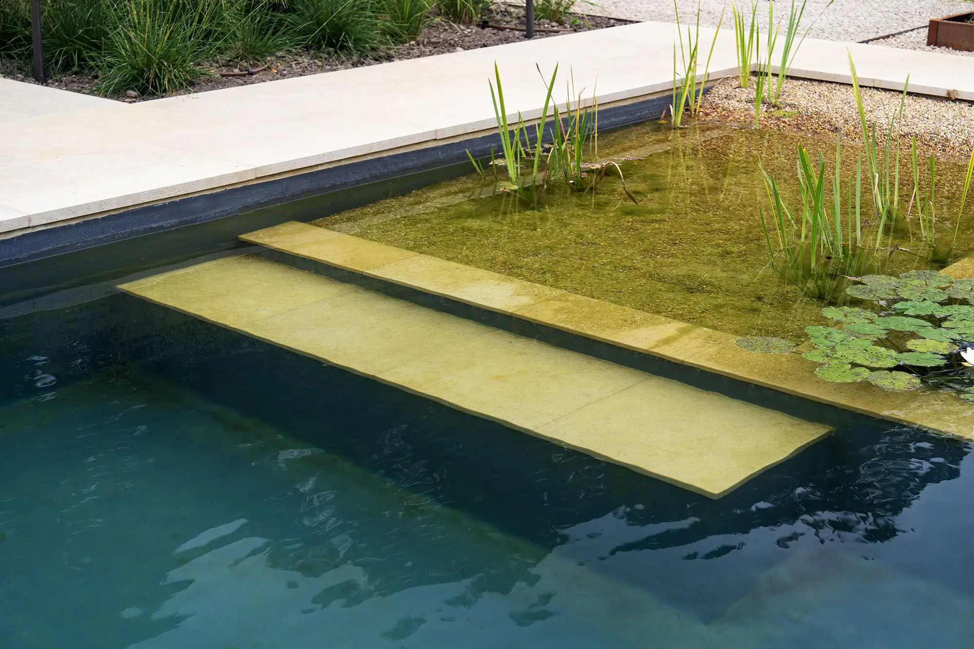 Hampshire Natural Swimming Pool seating ledge and beach