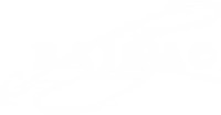 BAISAŌ logo