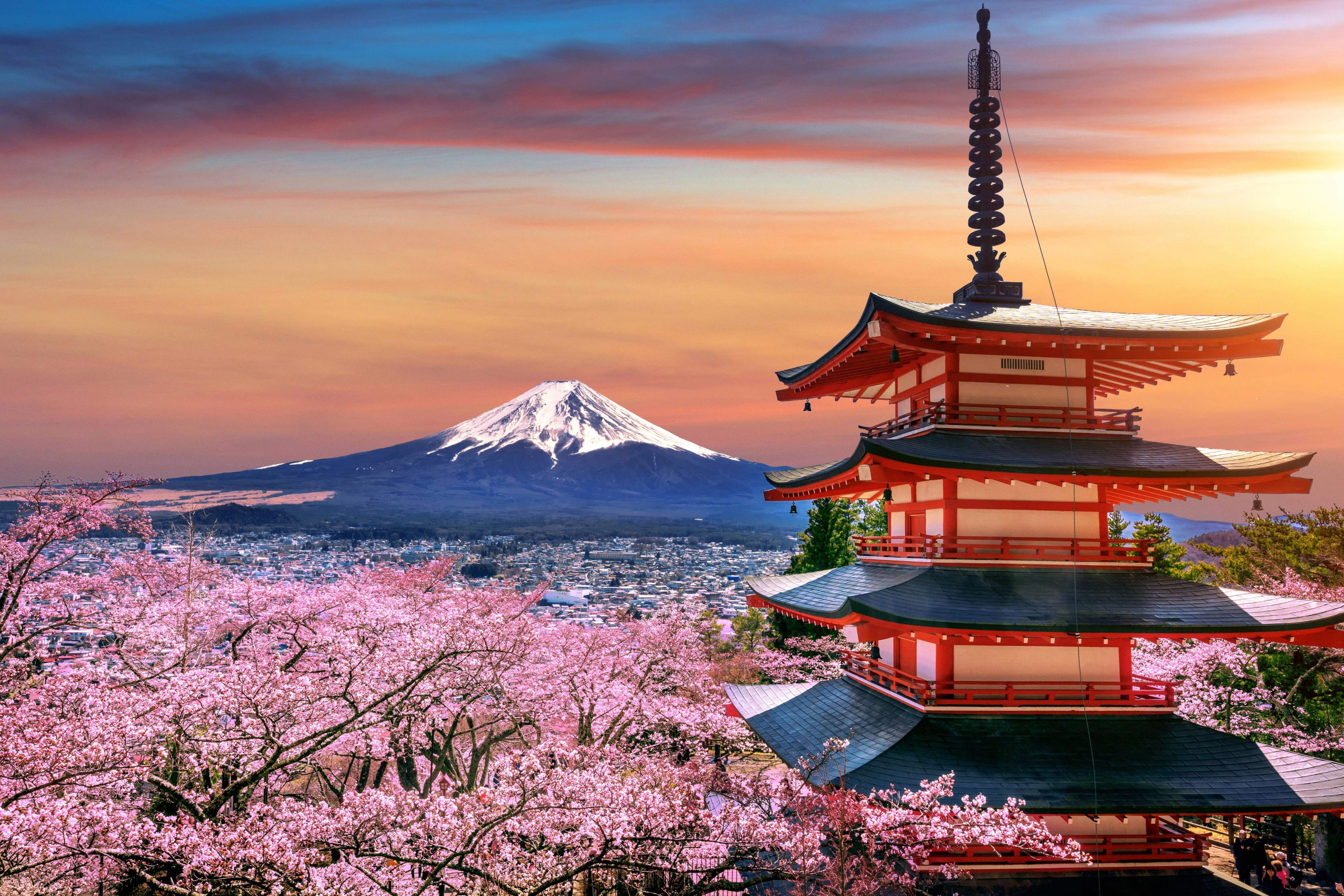 Japan Desk