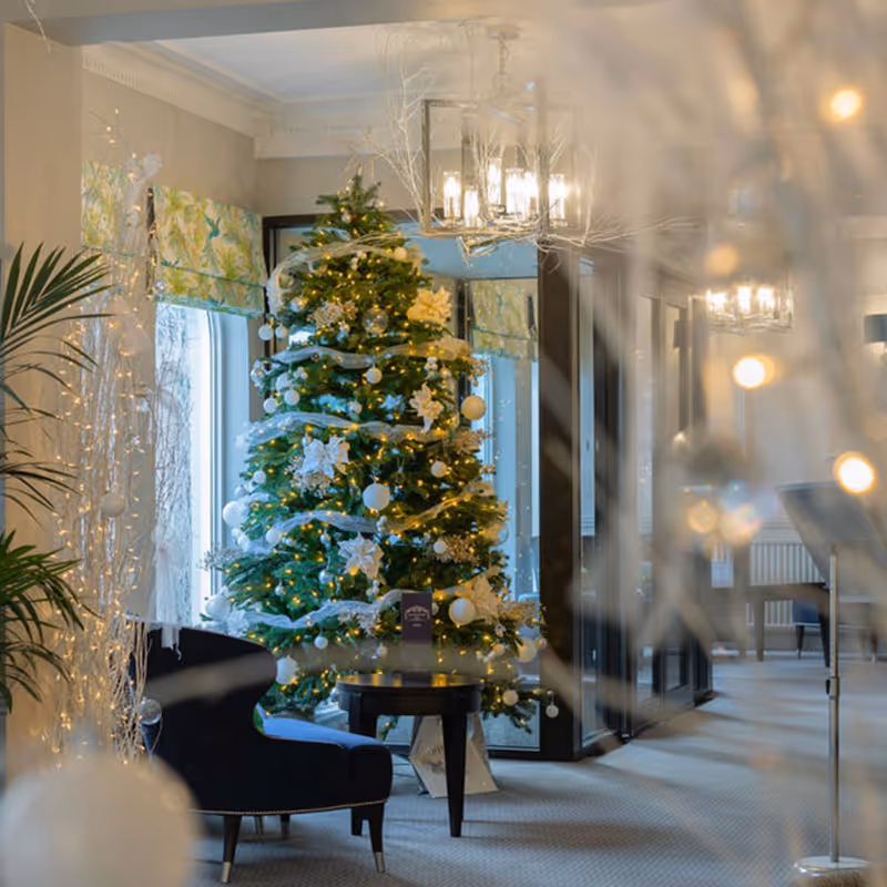 Hotel Collingwood Restaurant in Bournemouth Festive Lunches