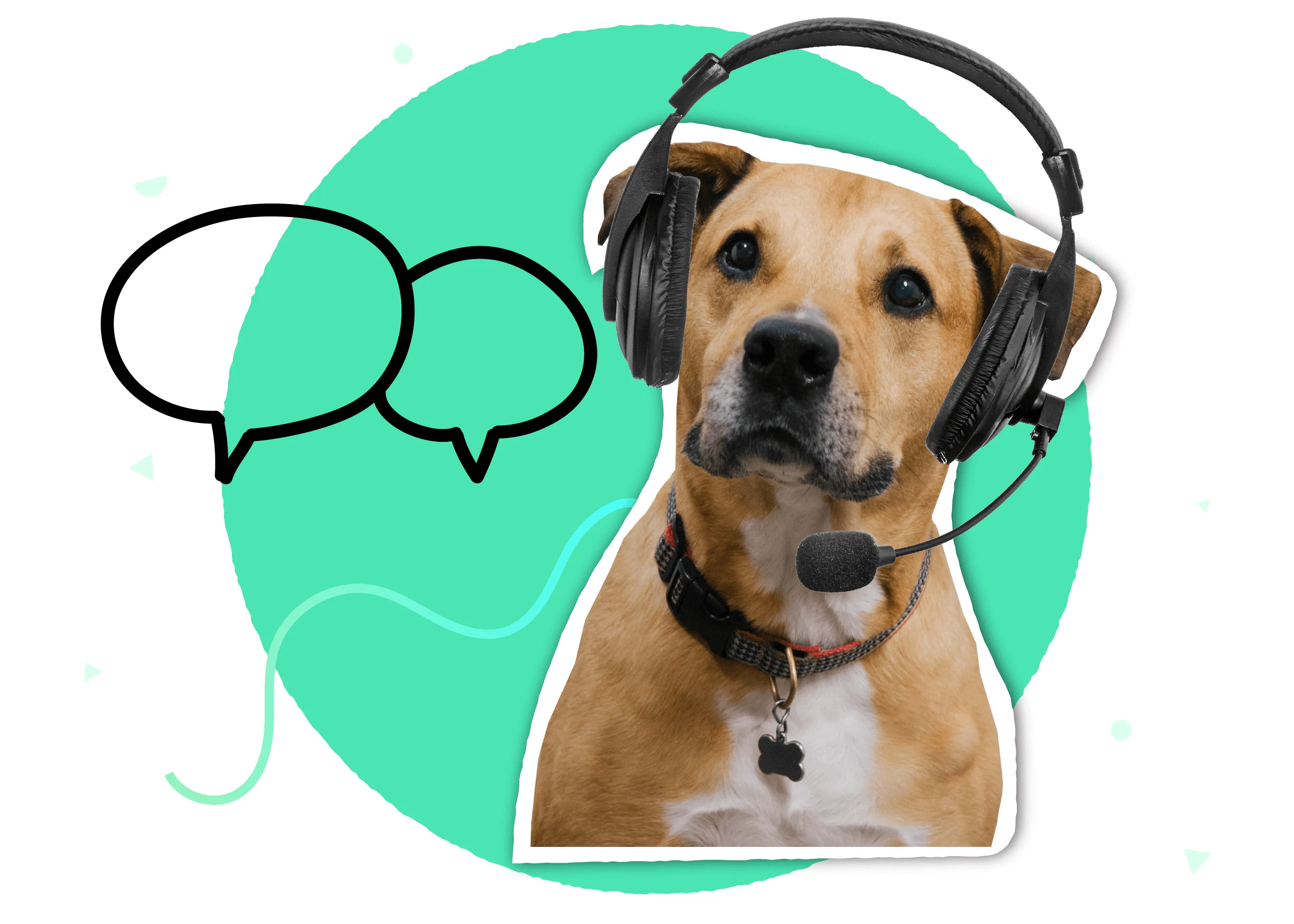 Template for IT Information Overview