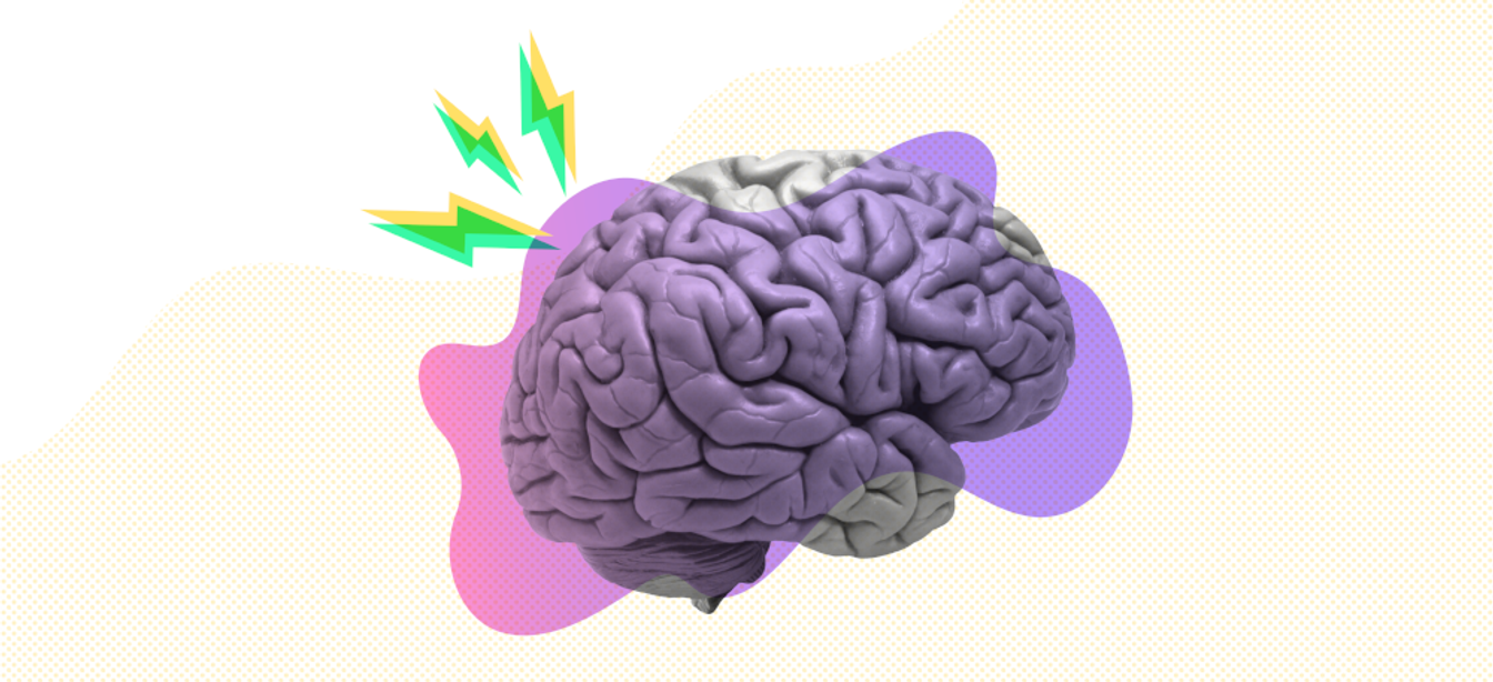 brain-305273-edited.png