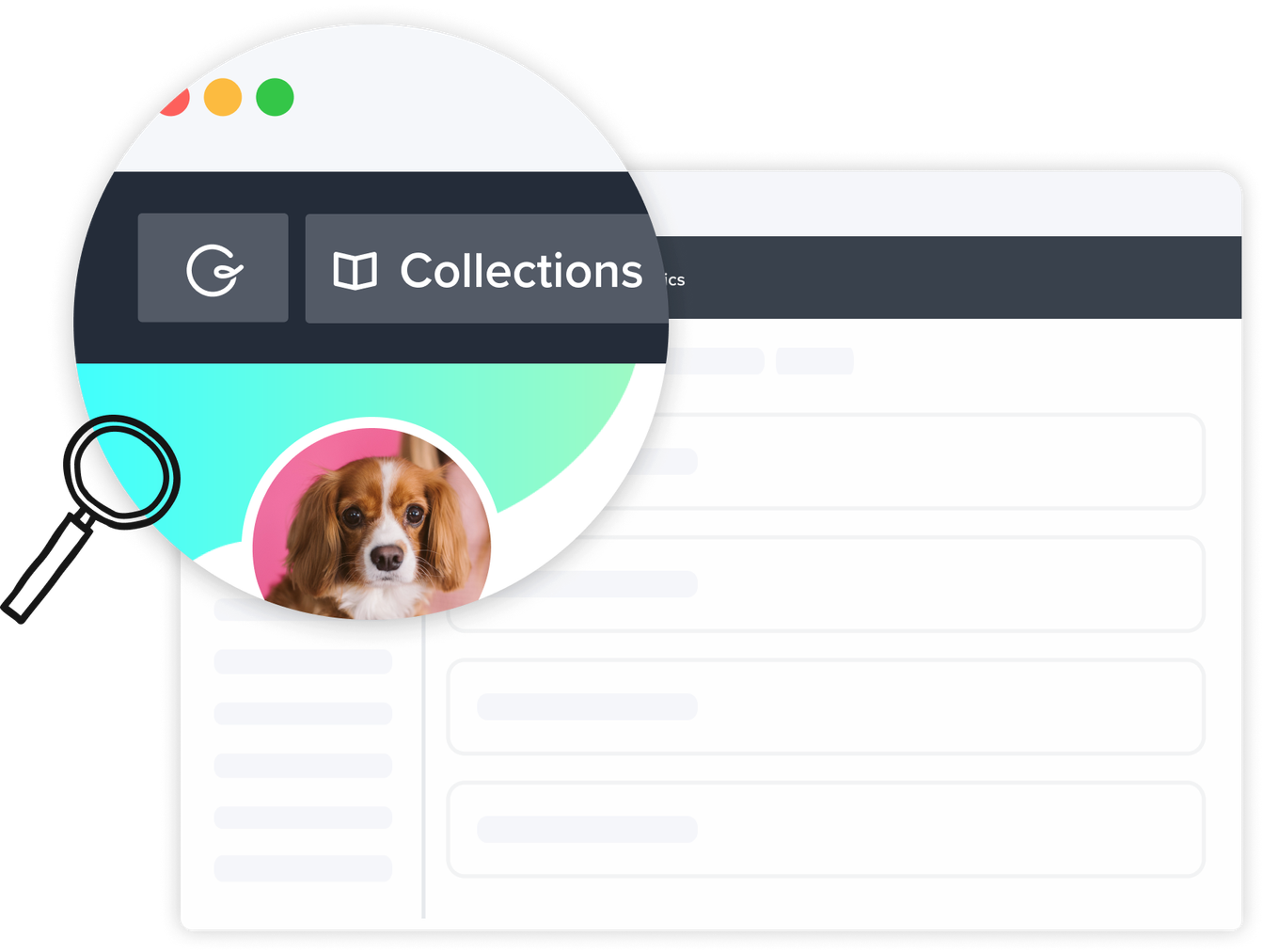 collections.png