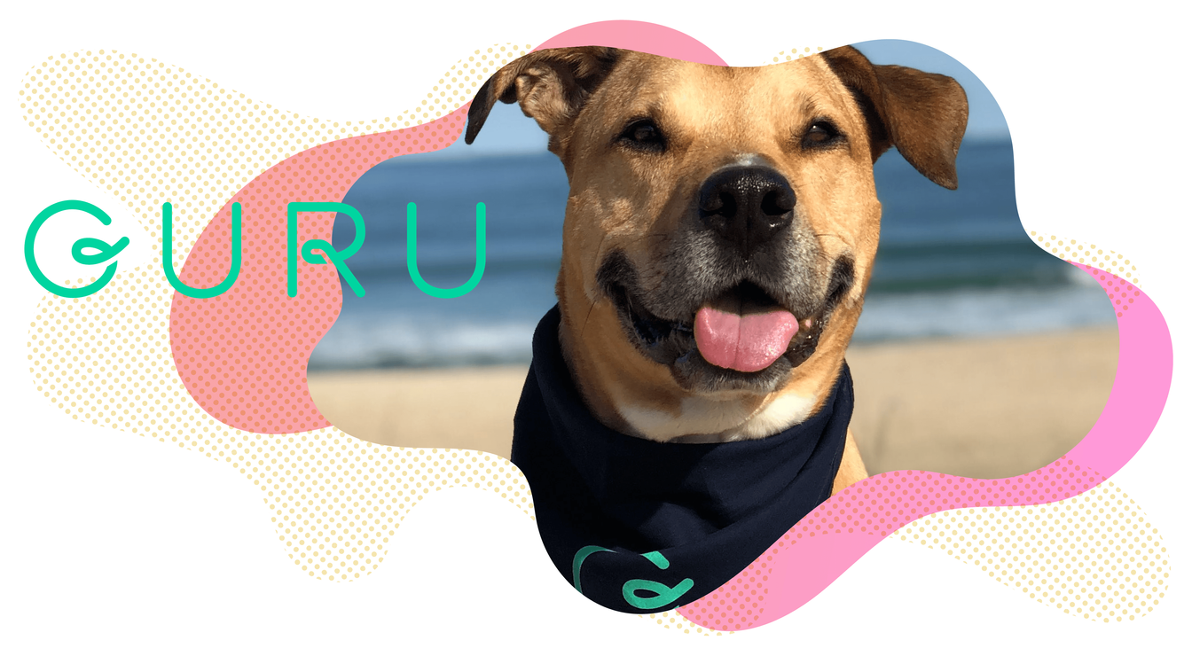 summer-coop-bandana-featured.png
