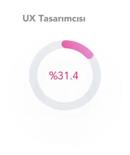 ux-tasarimci-demografik-grafik
