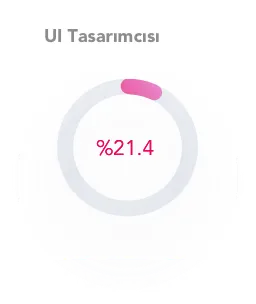 ui-tasarimci-demografik-grafik