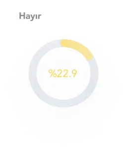 is-ve-ozel-hayat-hayir-grafik