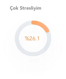 stres-orani-cok-stresli-grafik