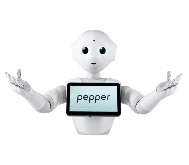 İş Bankası Pepper Robot