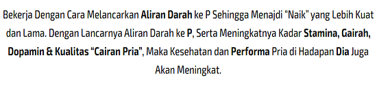 Hammer Store Cianjur | Jual Hammer Of Thor Di Cianjur 082242241332