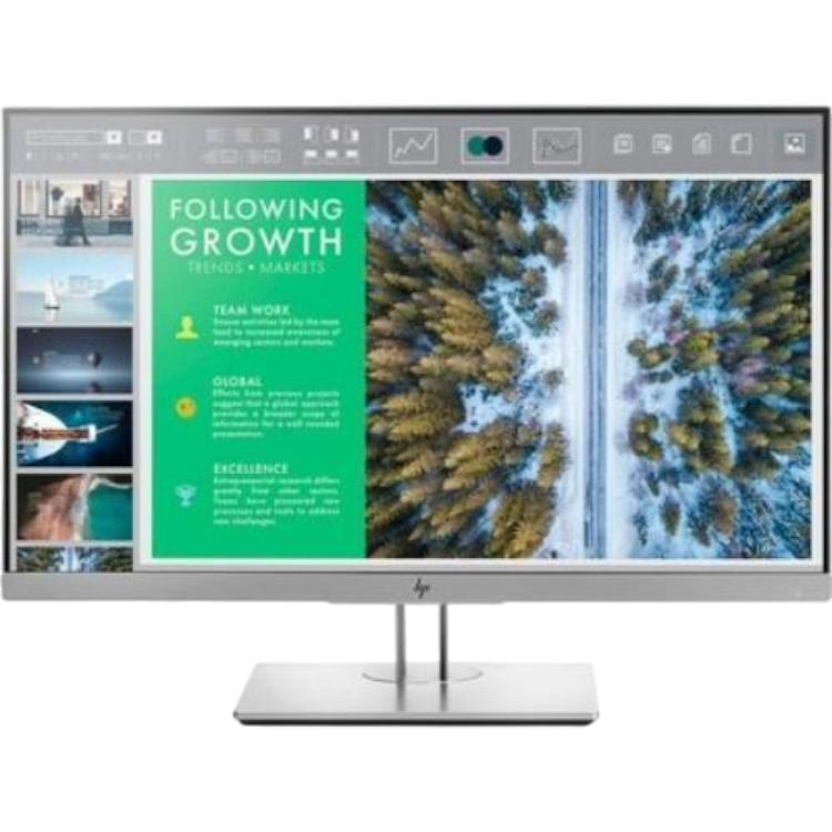 HP EliteDisplay E243 (132.)