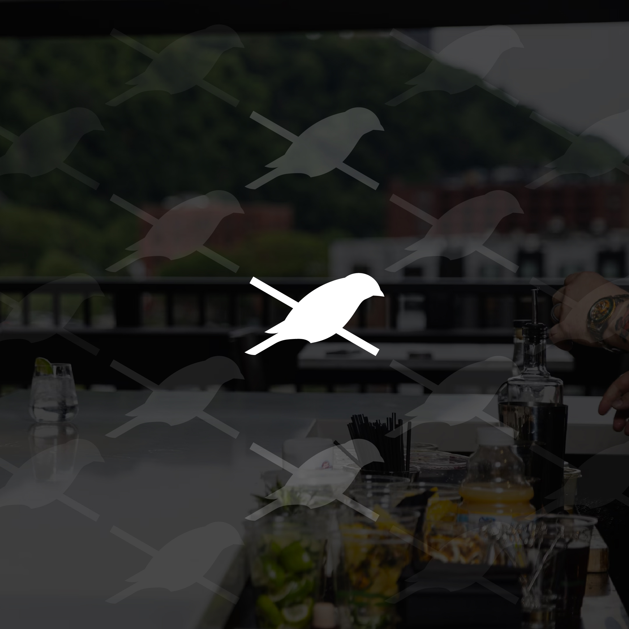 The Distillery Complex Finch icon over rooftop bar