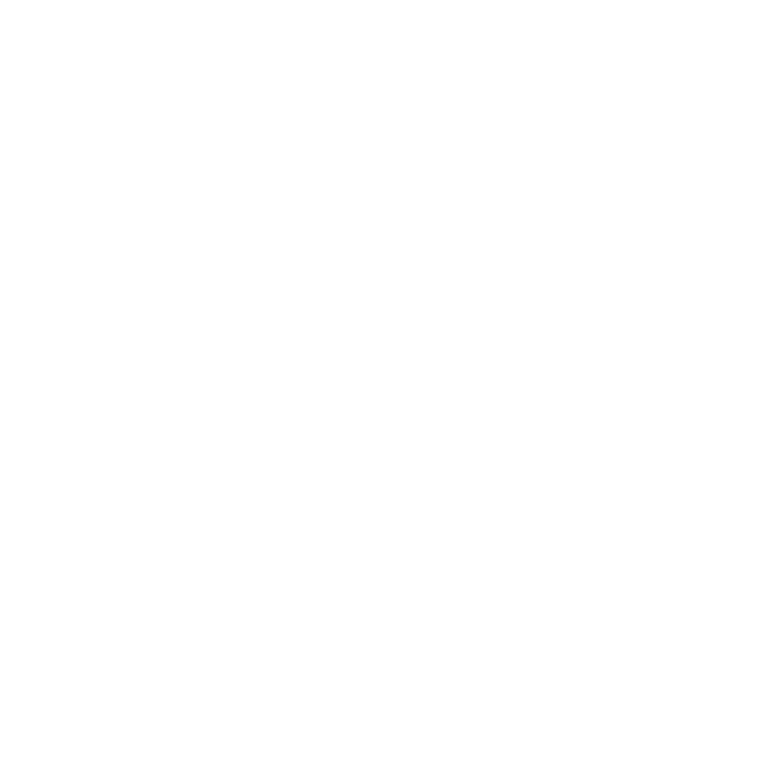 Best Practices Icon