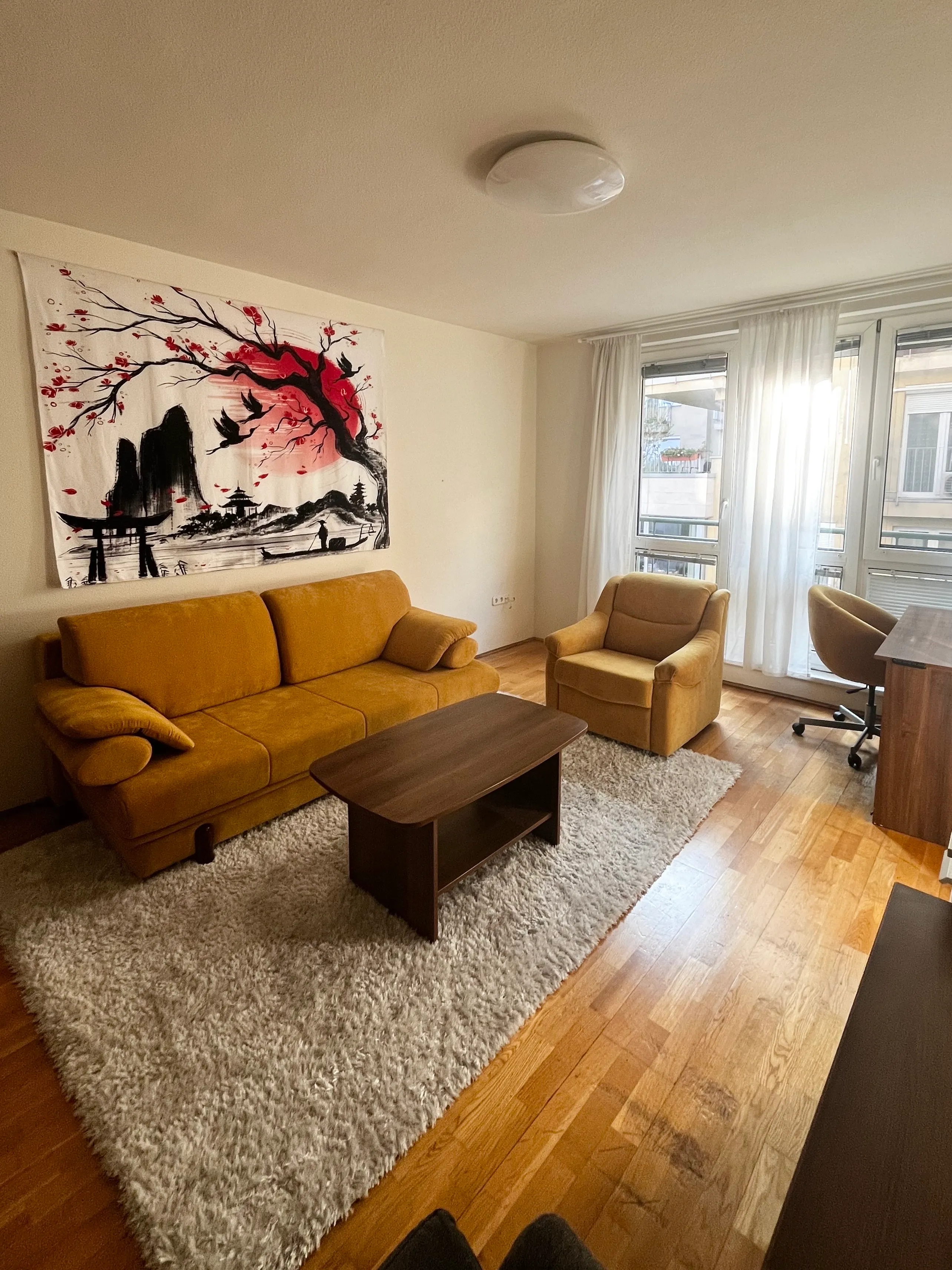 Apartment for rent in Balázs Béla utca, next corner from Semmelweis