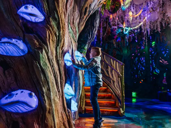 A child is playing with glowing orbs in a huge treescape at Meow Wolf Grapevine.