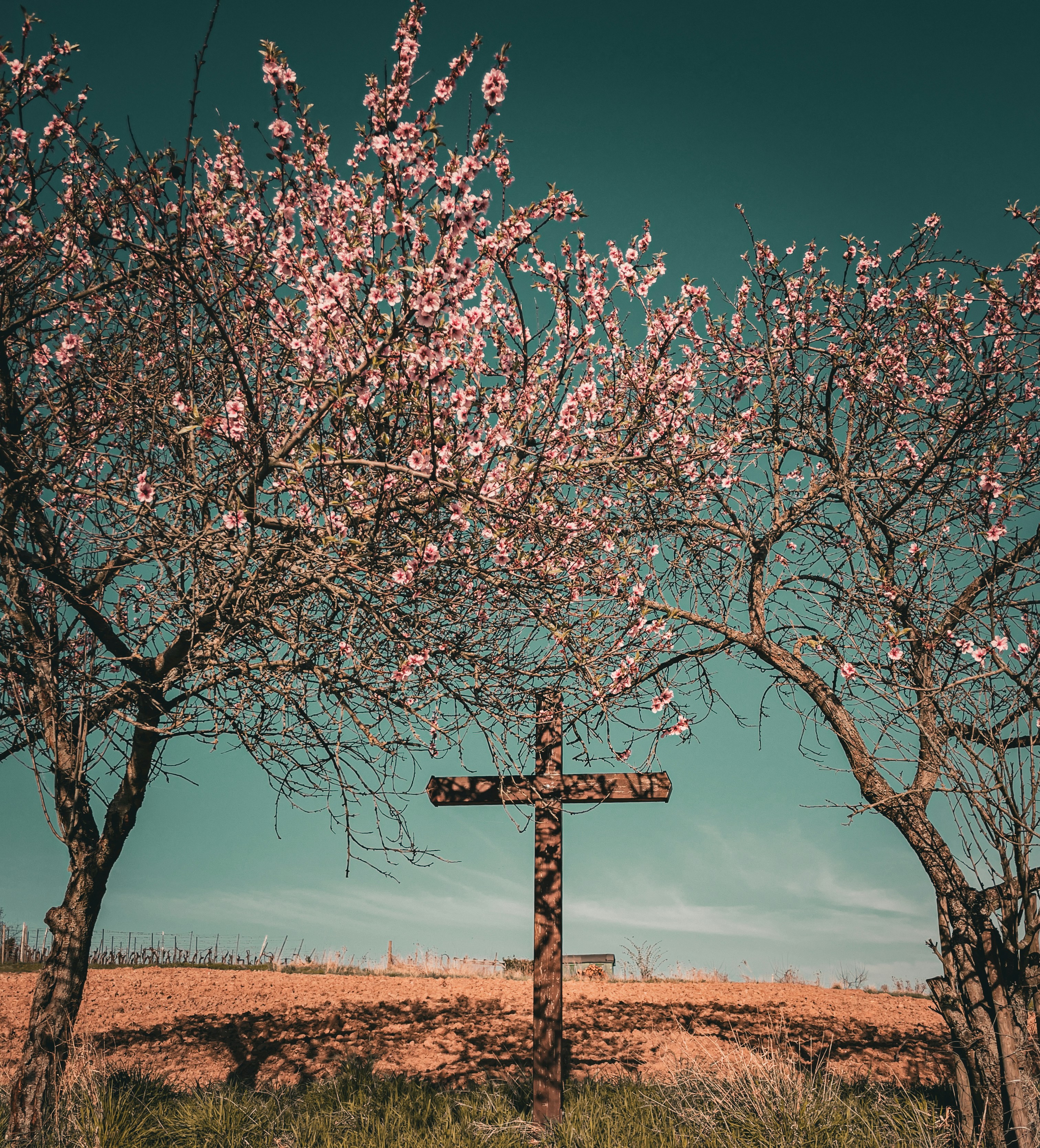 Mastic Media Office Closed in Observance of Good Friday (April 3) and Easter