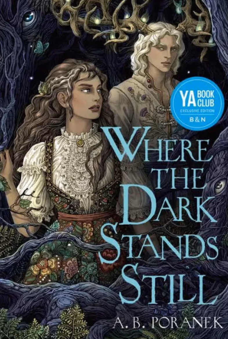 cover of B&N YA Book Club Edition of Polish Fantasy Romance book Where the Dark Stands Still
