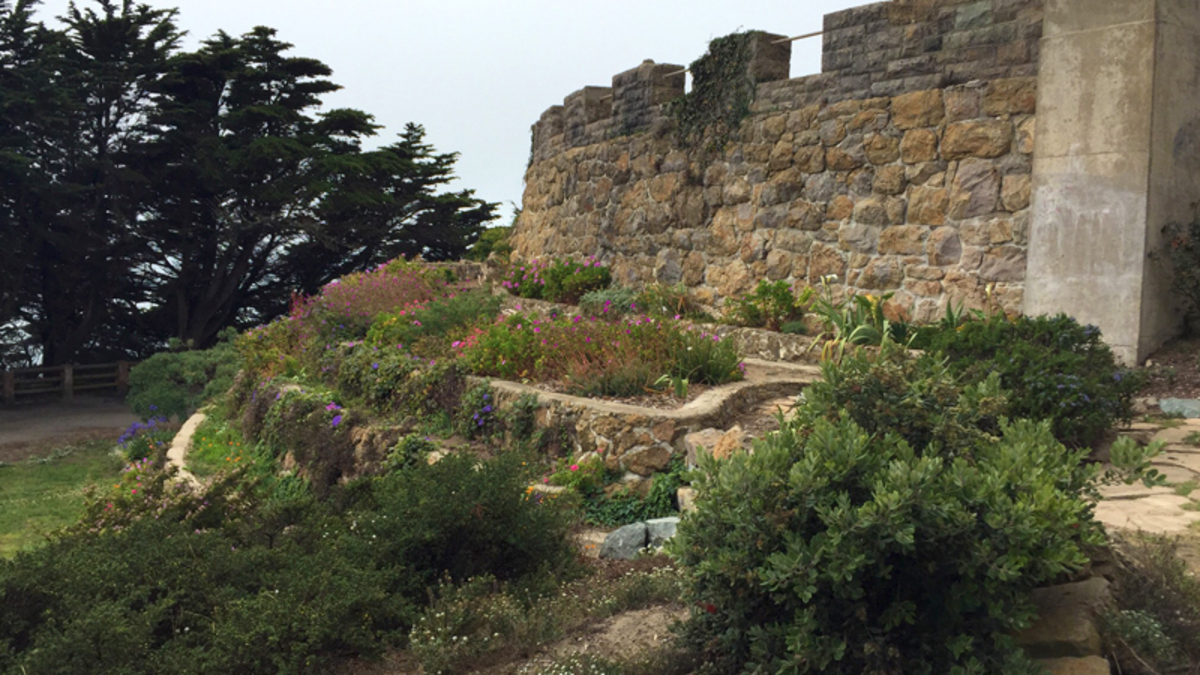An image of the wall of a castle, with a tiered garden next to it.