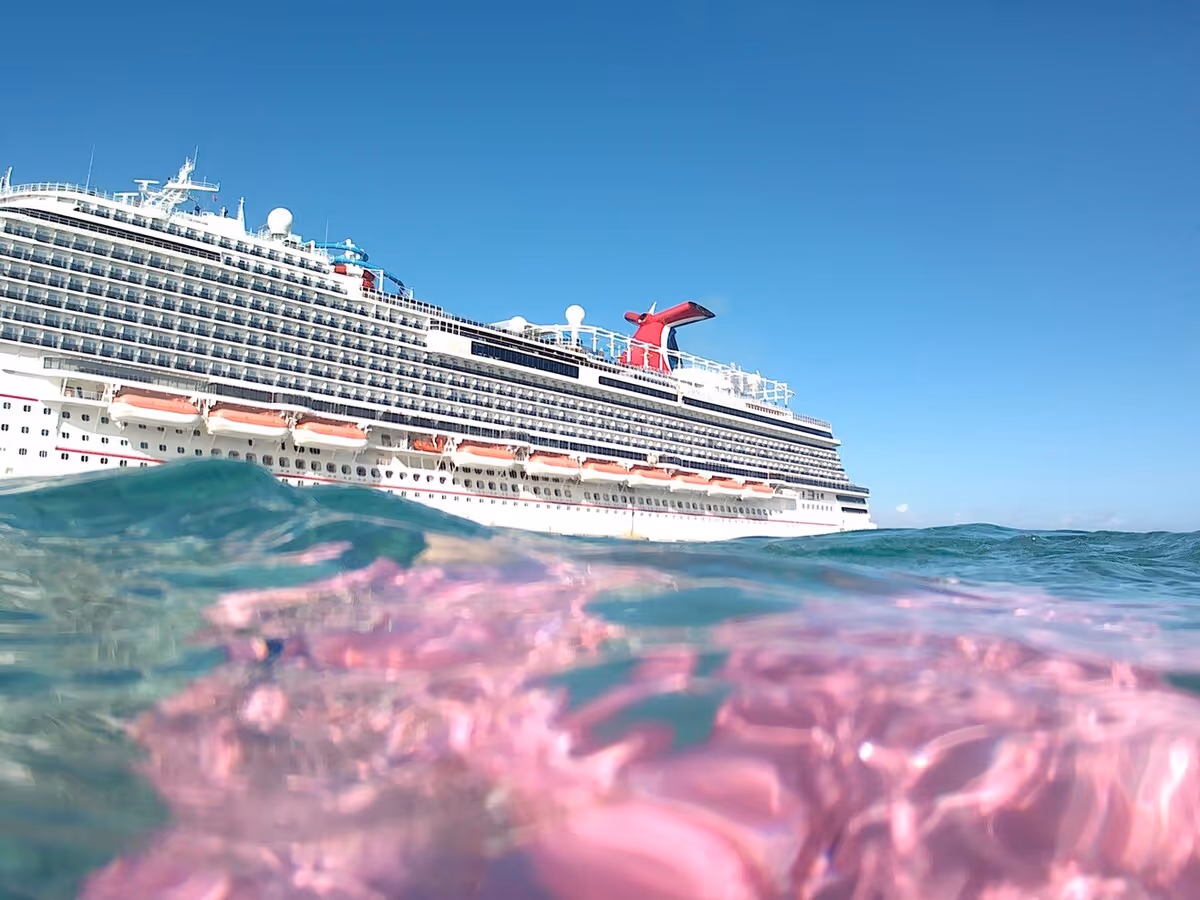 A photo taken from sea level. In the foreground is pink coral under the water’s surface, and a large cruise ship is in the background.