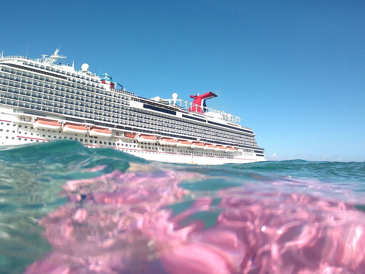 A photo taken from sea level. In the foreground is pink coral under the water’s surface, and a large cruise ship is in the background.