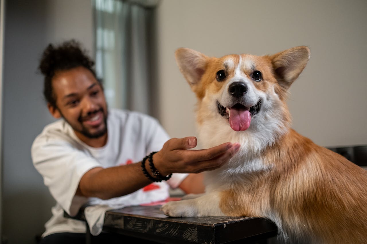 man posing with his very happy looking pet corgi
