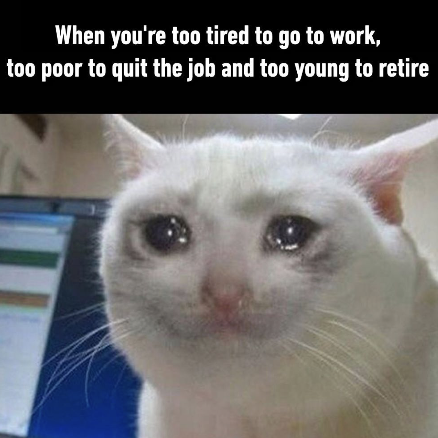 sad cat crying meme about when you're too tired to work but too poor to quit and too young to retire