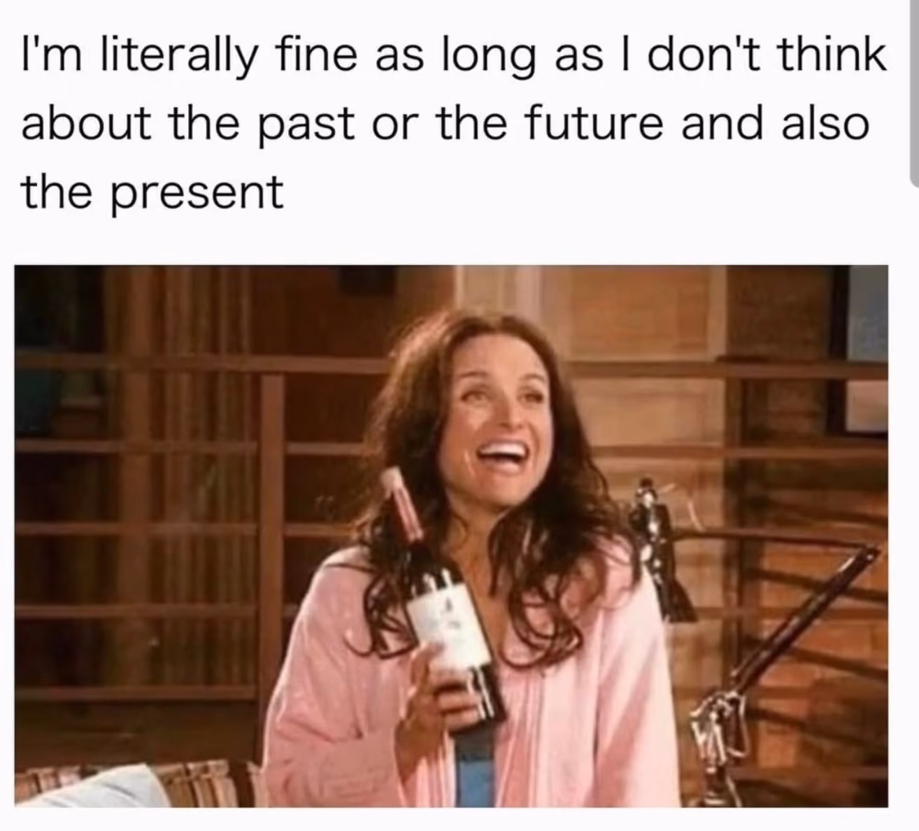 woman with a bottle of wine meme that says I'm literally fine as long as I don't think about the past or future and also the present