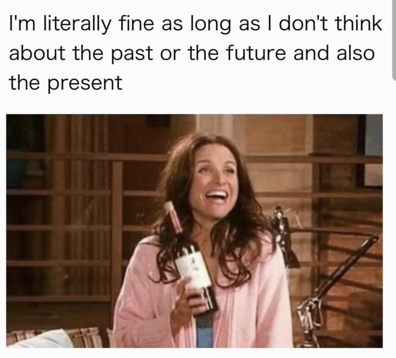 woman with a bottle of wine meme that says I'm literally fine as long as I don't think about the past or future and also the present