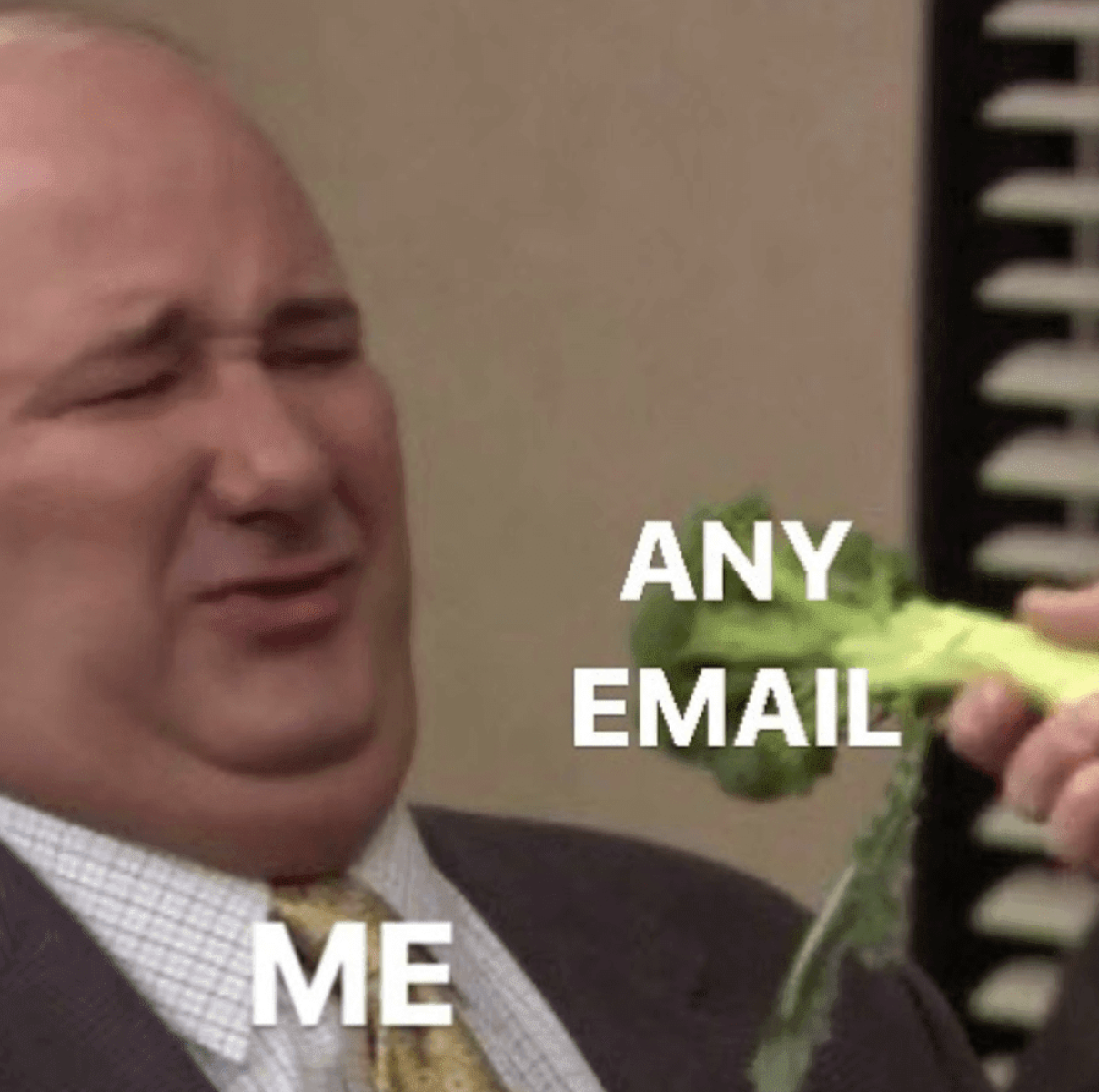 Photo of character Kevin from "The Office" making a resistant face as a hand with broccoli comes toward him. Kevin has text, "ME," on him, and broccoli has text, "ANY EMAIL," on it.