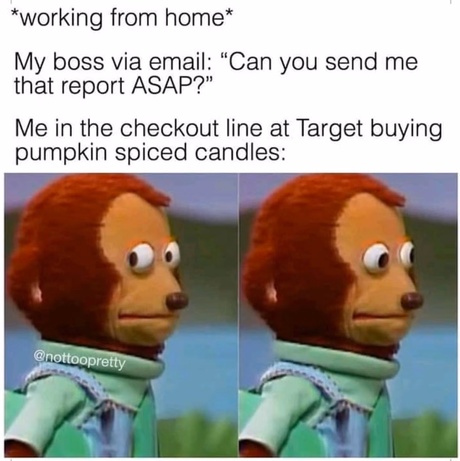 monkey side eye meme about getting an email from your boss when you're supposed to be working from home but you're actually in the checkout line at target