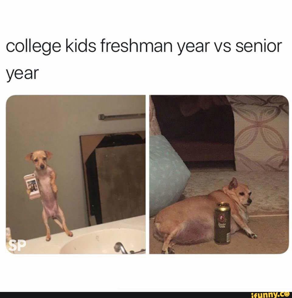 college freshman vs senior year with a chihuahua taking a mirror selfie vs laying next to a beer looking tired