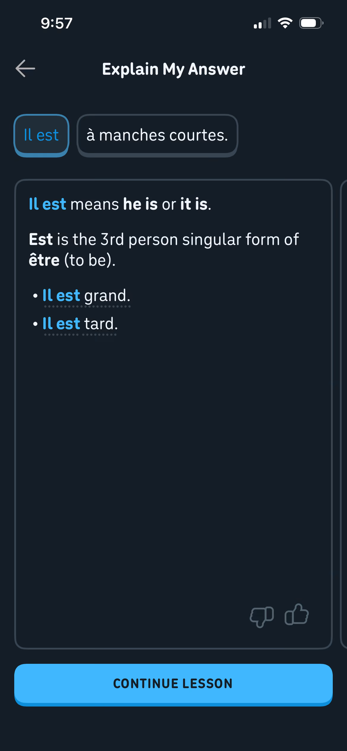 Example of the explain my answer functionality, a Duolingo Max feature