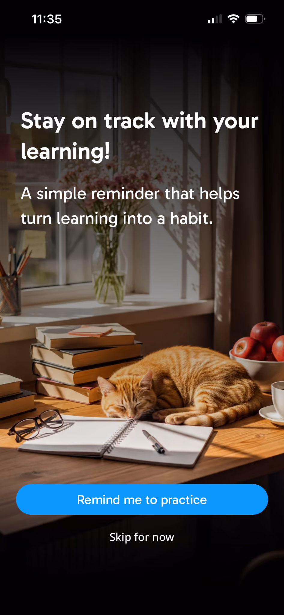 Rosetta Stone Sapphire screen for setting up practice reminders, text overlaid on an AI-generated image of a cute sleeping cat next to study materials