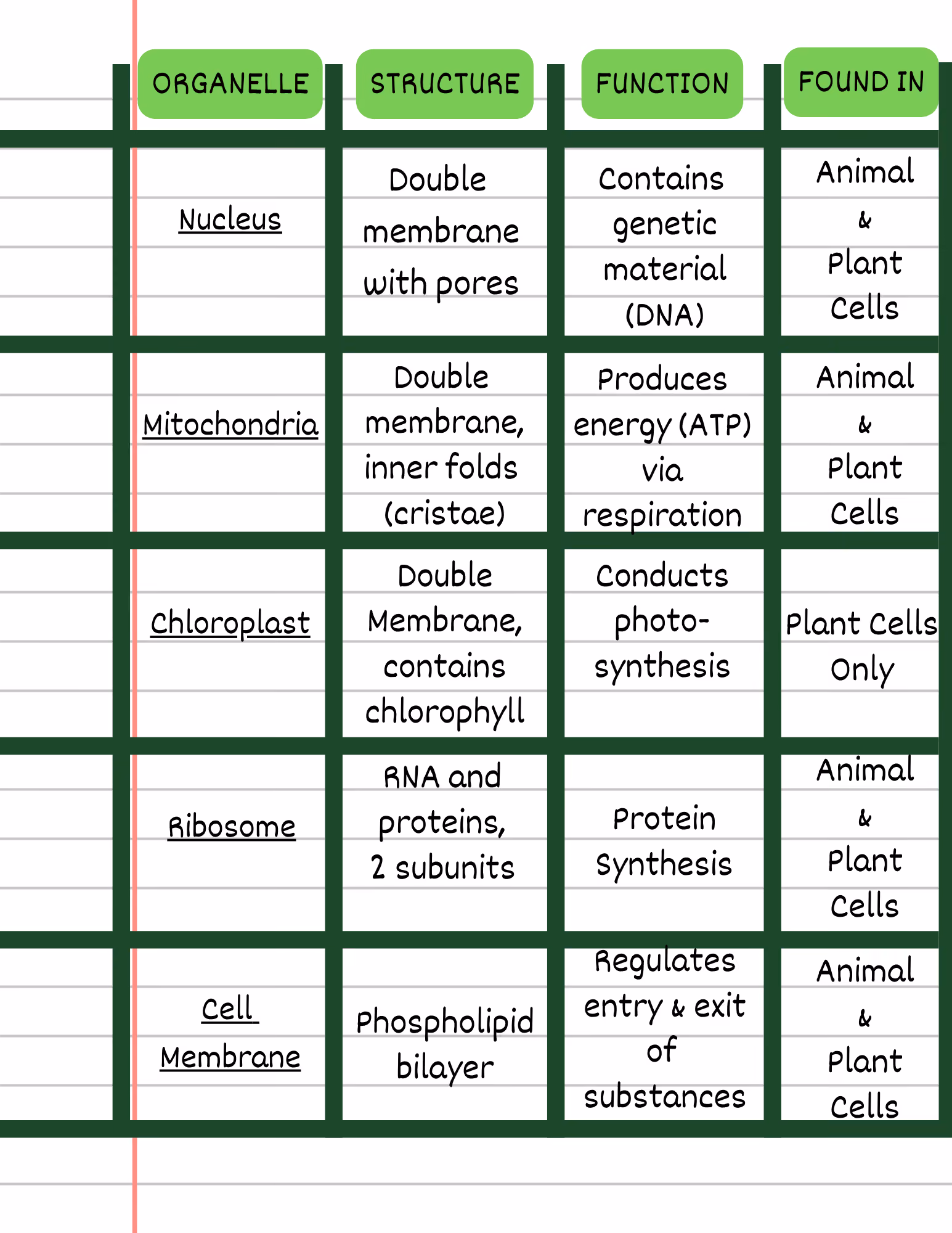 Charting Method biology notes on the structure and function of different organelles