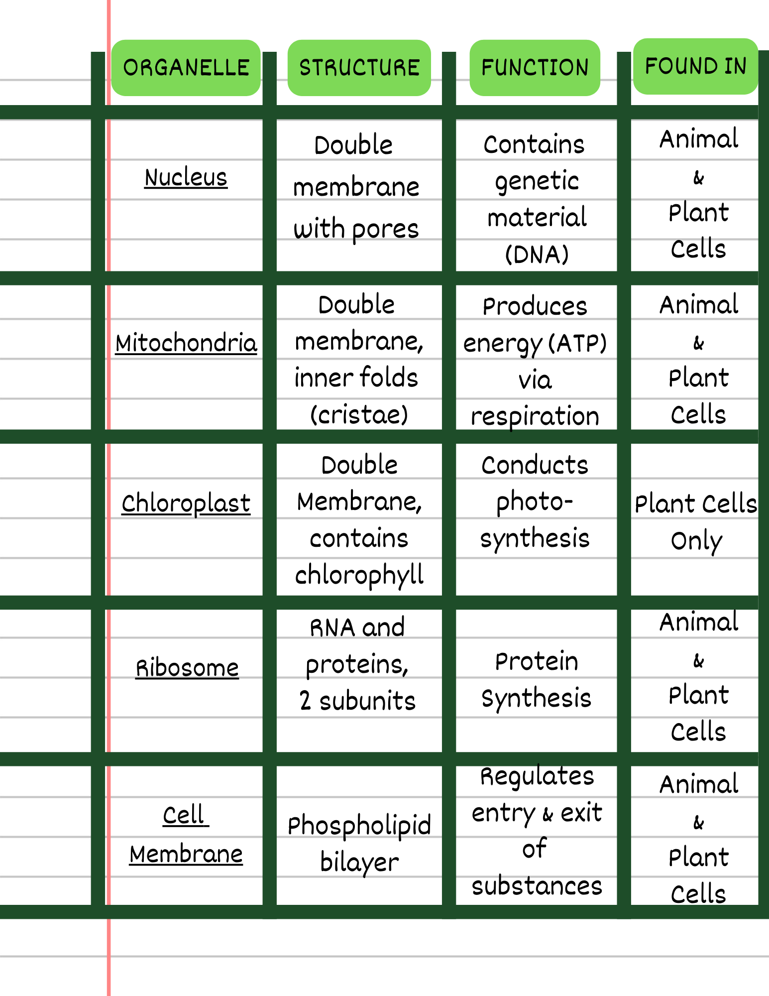 Charting Method biology notes on the structure and function of different organelles
