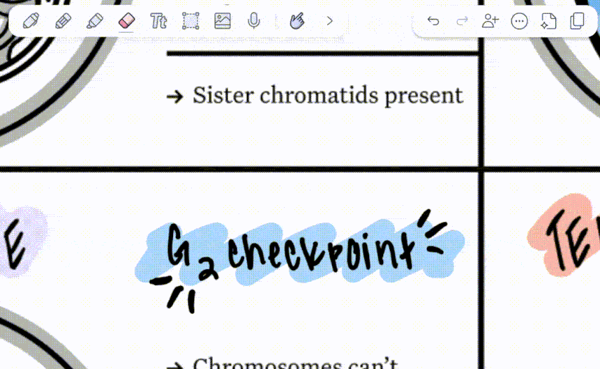 gif showing digital notes as a college students erases text using a tablet and stylus