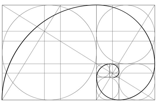 Visual representation of the Golden Ratio, showcasing the Fibonacci Spiral as a symbol of balance, harmony, and the natural beauty seen in bodies and nature.