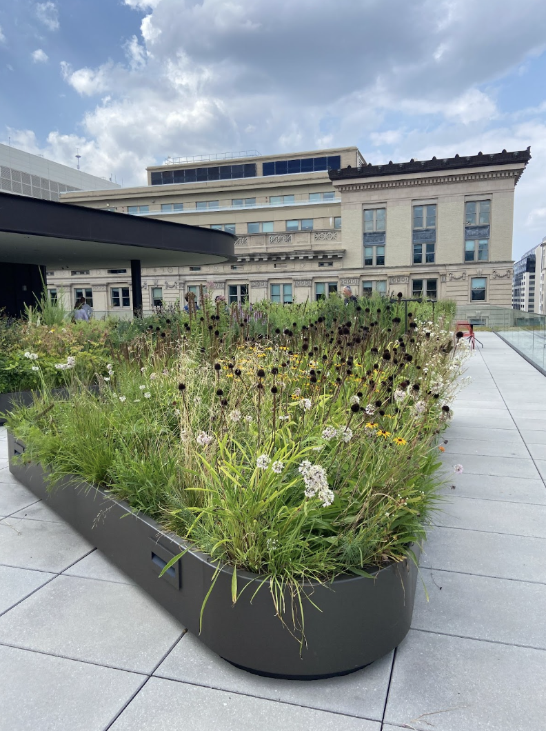 Roof top flower garden at the MLK Jr. National Memorial Library