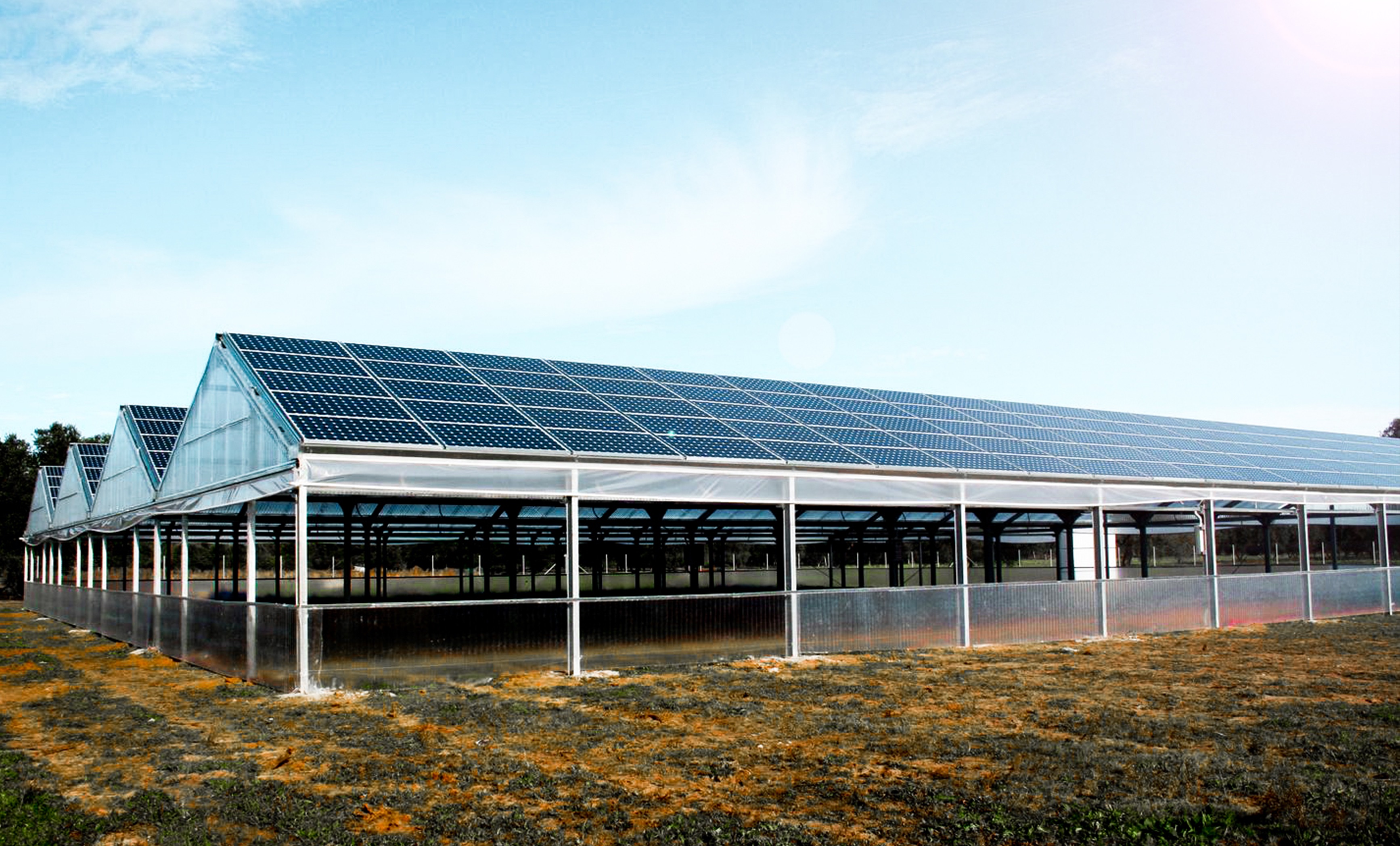 icon greenhouse
