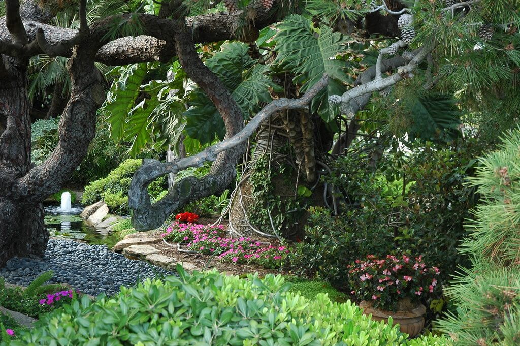 Tranquil garden scene with a pond.