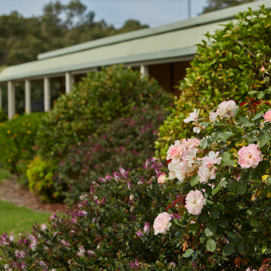 Beautiful garden landscaping at Greenwood Manor, a retirement home in Noble Park with scenic, resident-friendly outdoor spaces.
