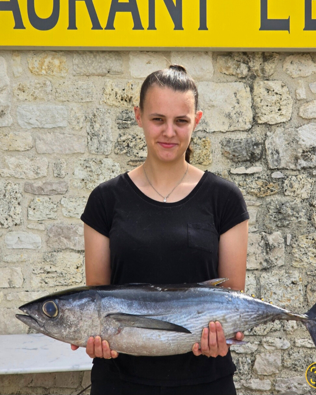 chateau terre vieille