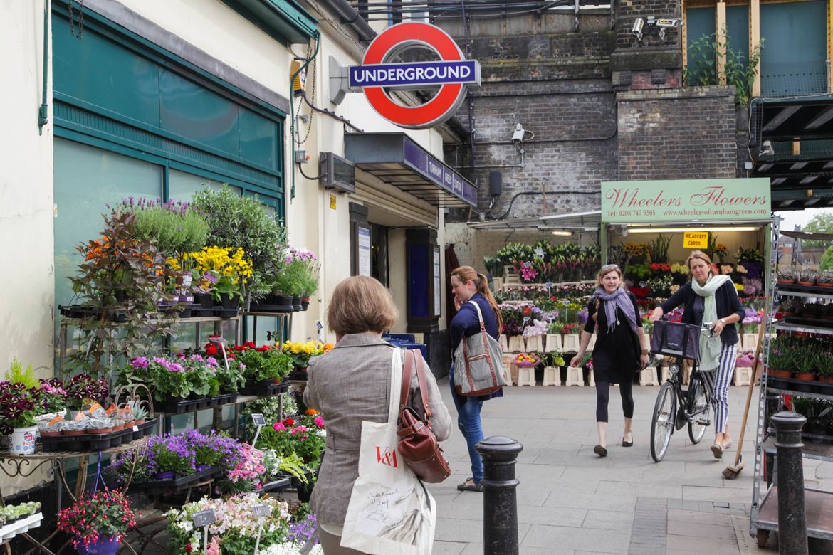 Turnham Green Terrace
