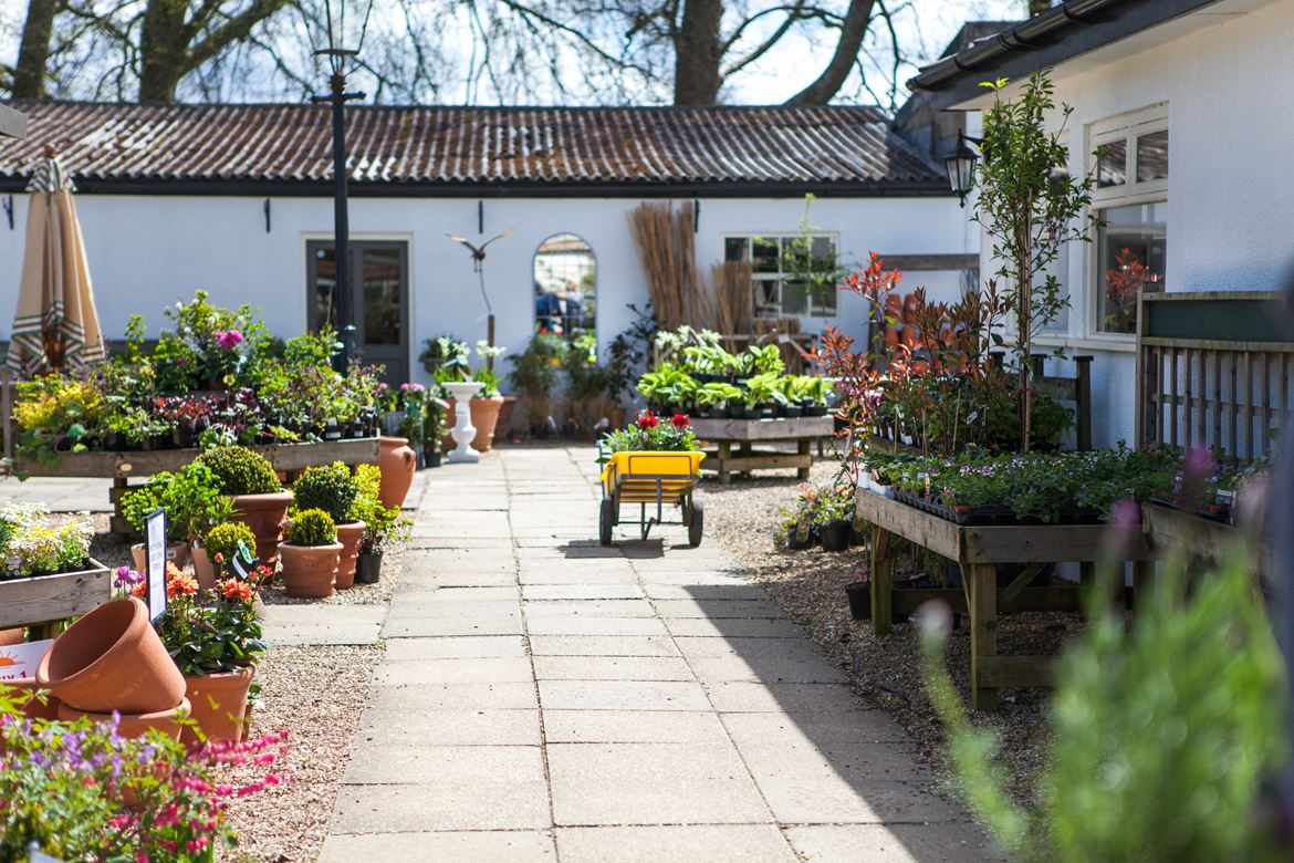 Cranborne Garden Centre